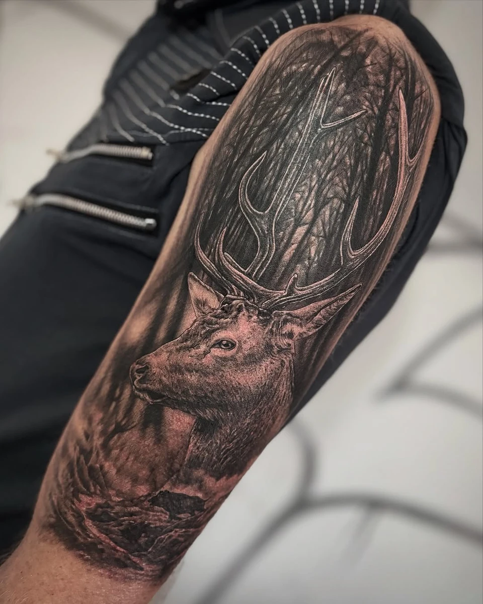 Portfolio de Kazer