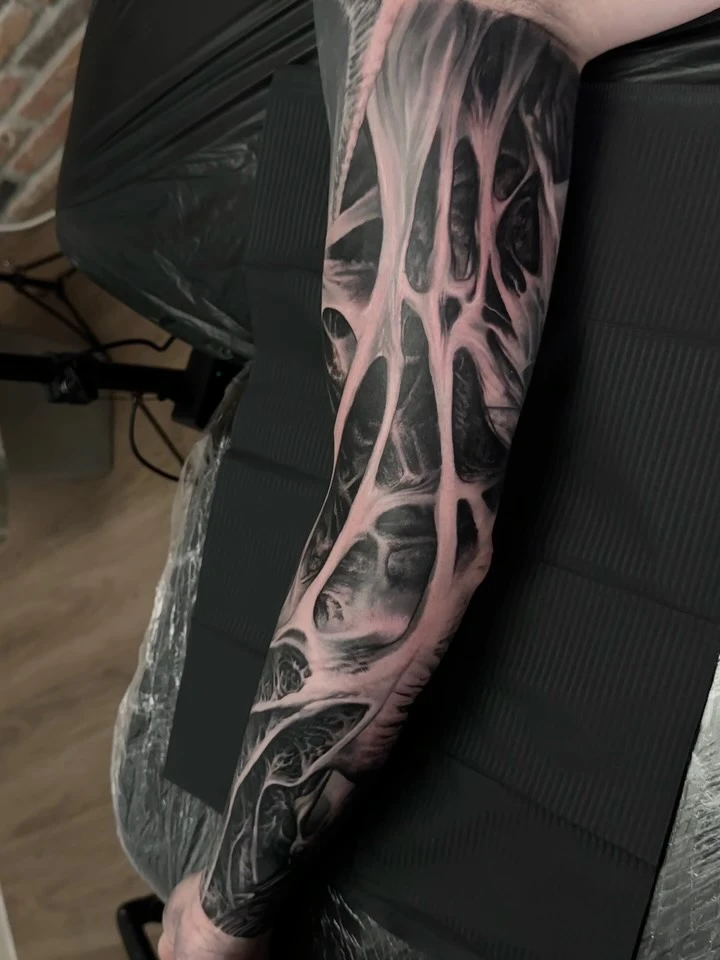 Travail de Thomas Carli Jarlier