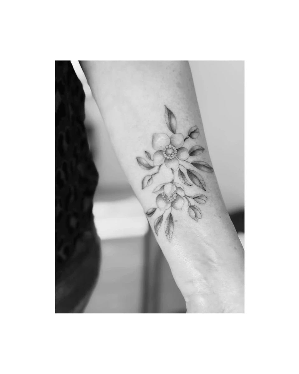 Travail de Elisa