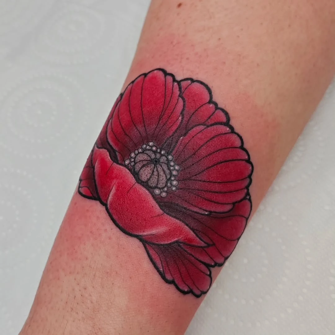 Travail de Guibs Roy