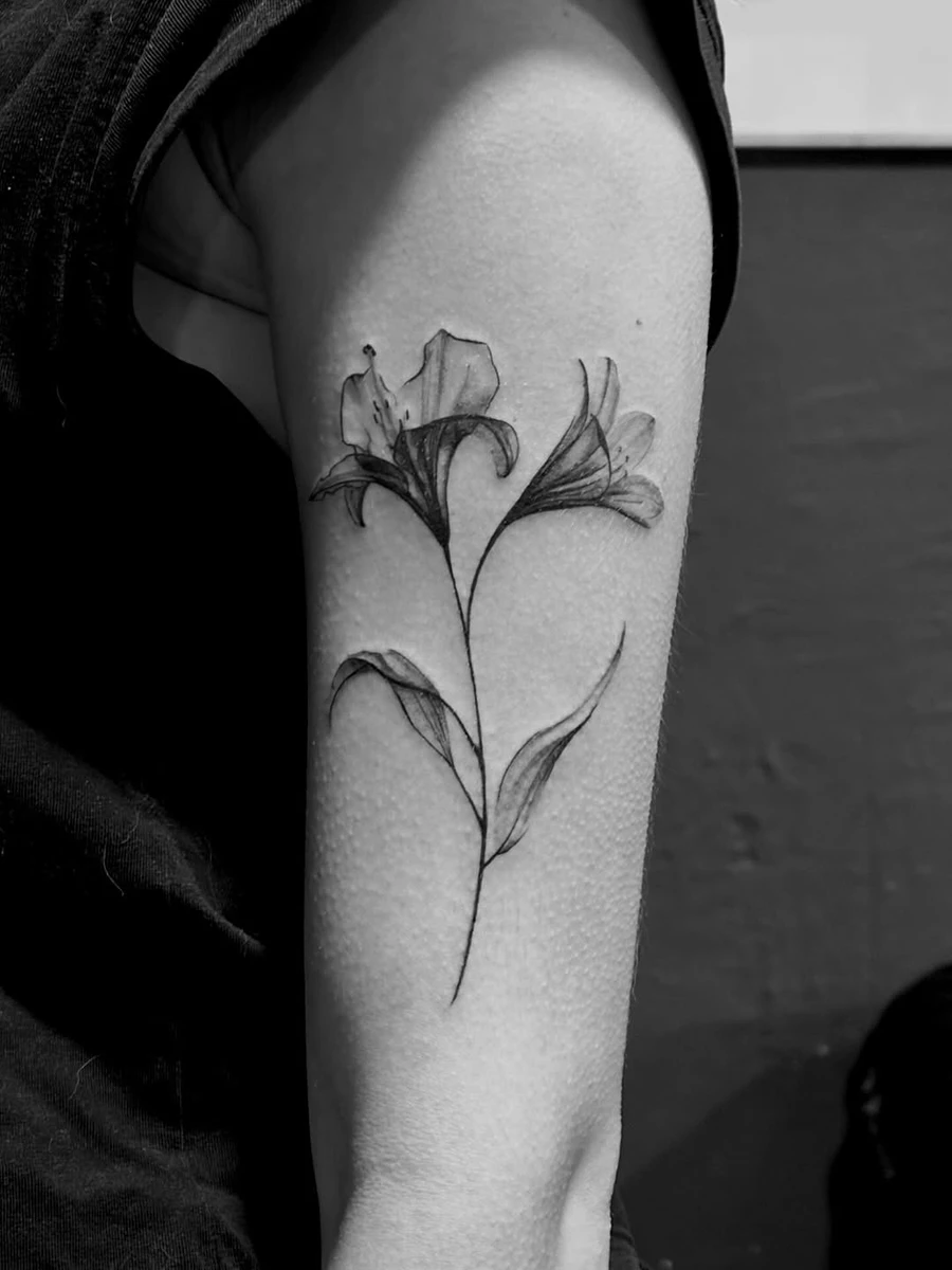 Travail de Audrey Yerdua