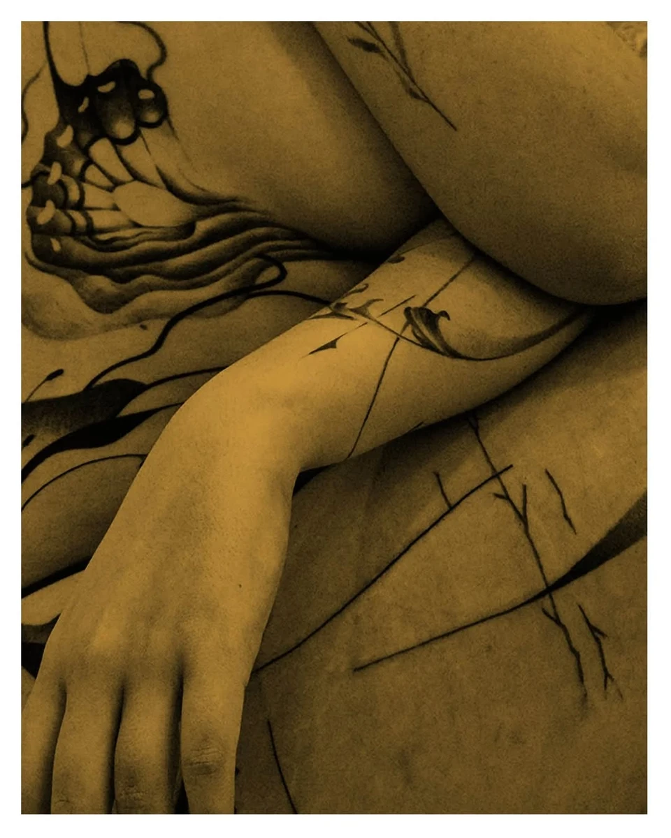 Lignes freehand botaniques et abstraites, série IN LIMBO.