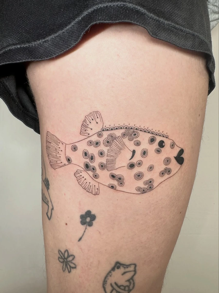 Flash adopté, poisson patate.