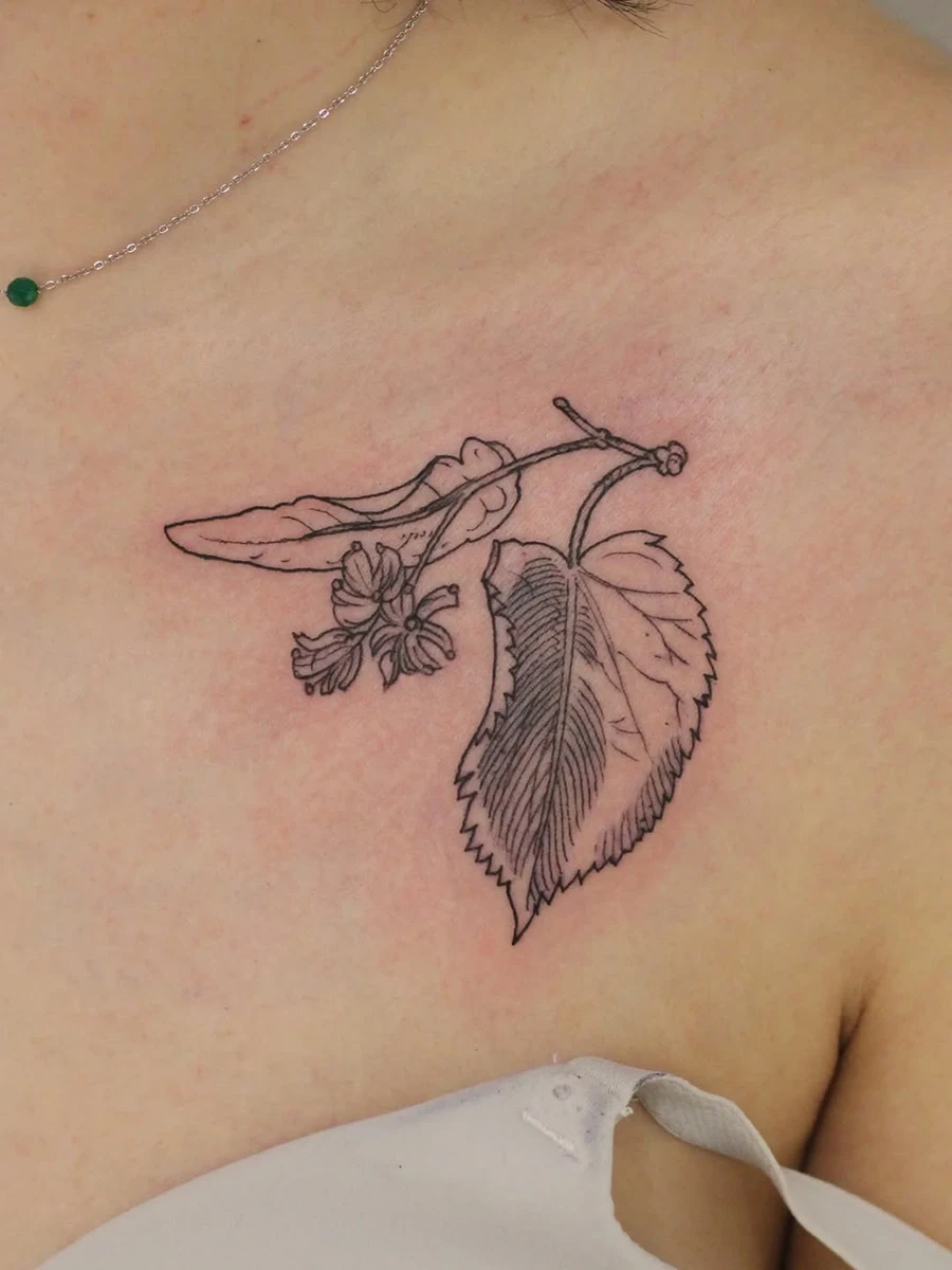 Branche de tilleul fleurie. Merci pour ta demande.