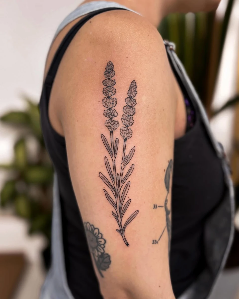 Lavender branch 🌿 Thank you tout_grgnon for coming back.