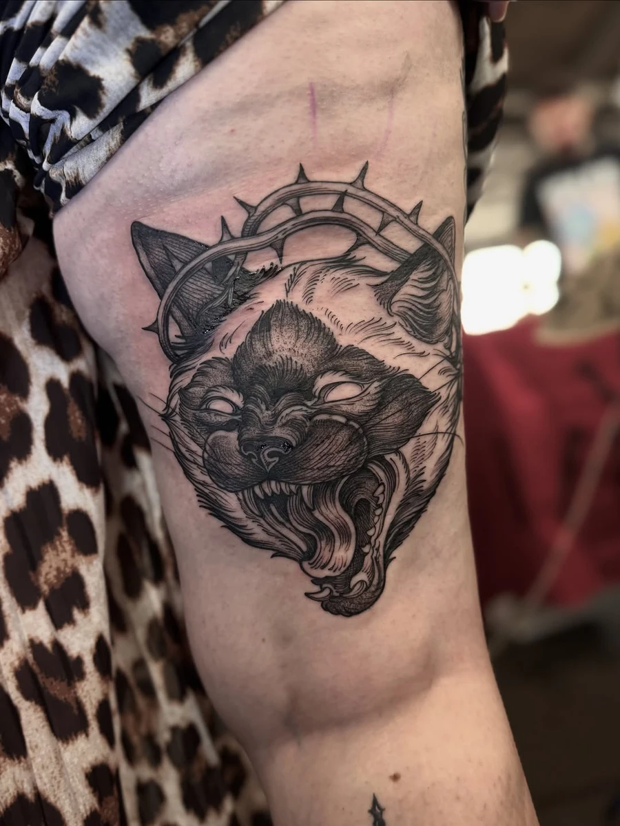 Merci Alexia pour ce portrait un peu colère de ton chaton 🫰✨