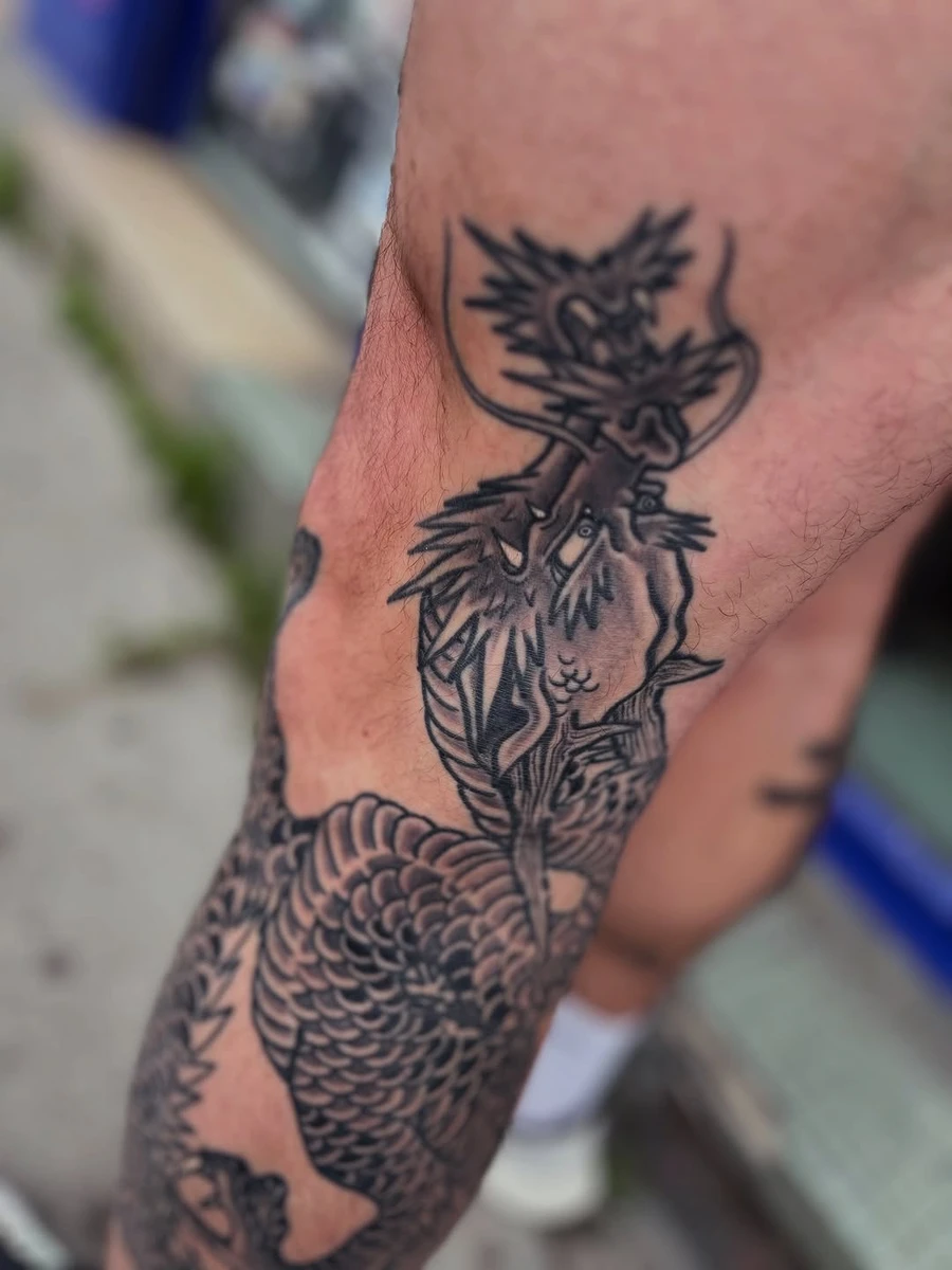 🤩 Cicatrisé et sans retouches 👌 Encore un dragon.