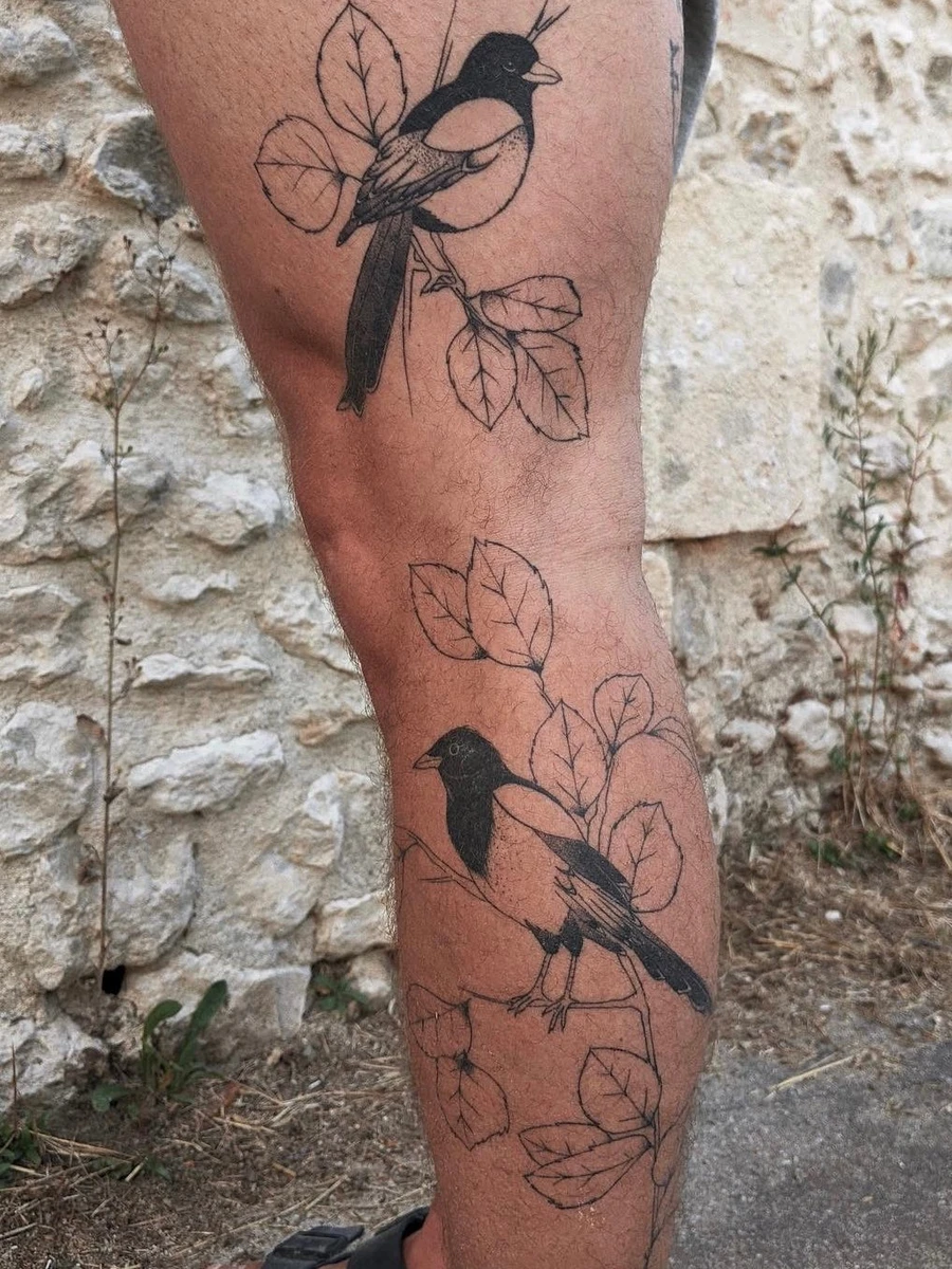 Une belle gambette cicatrisée ❤️