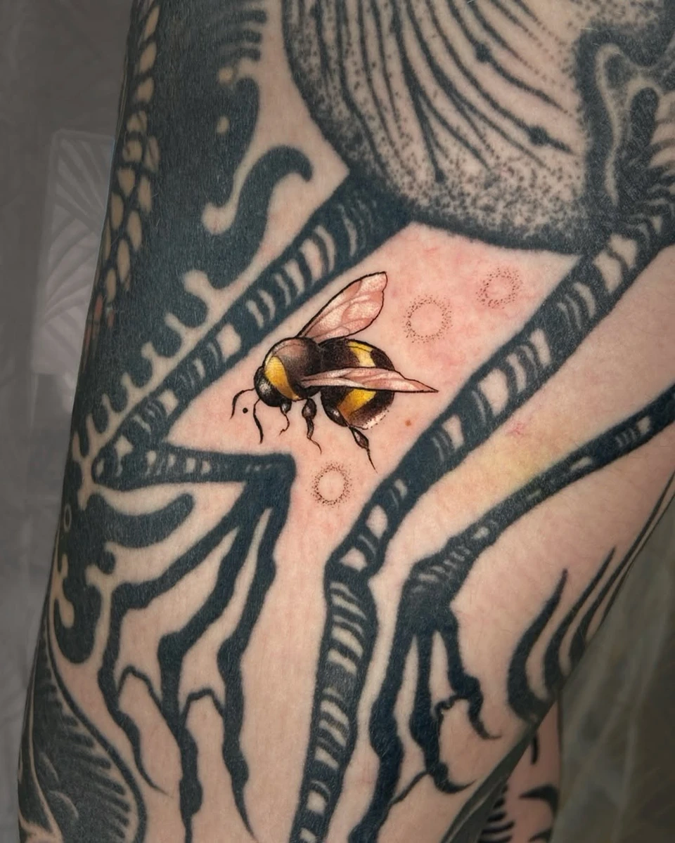 🐝 Babies 🐝