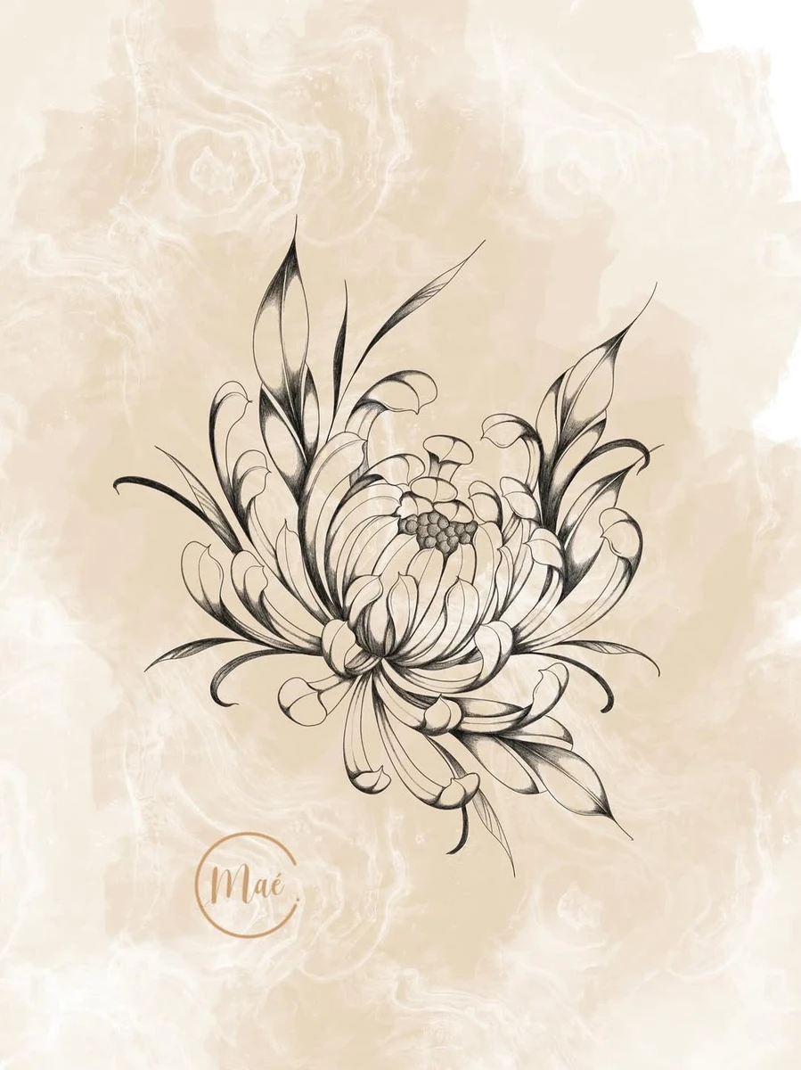 Chrysanthemum 🌸