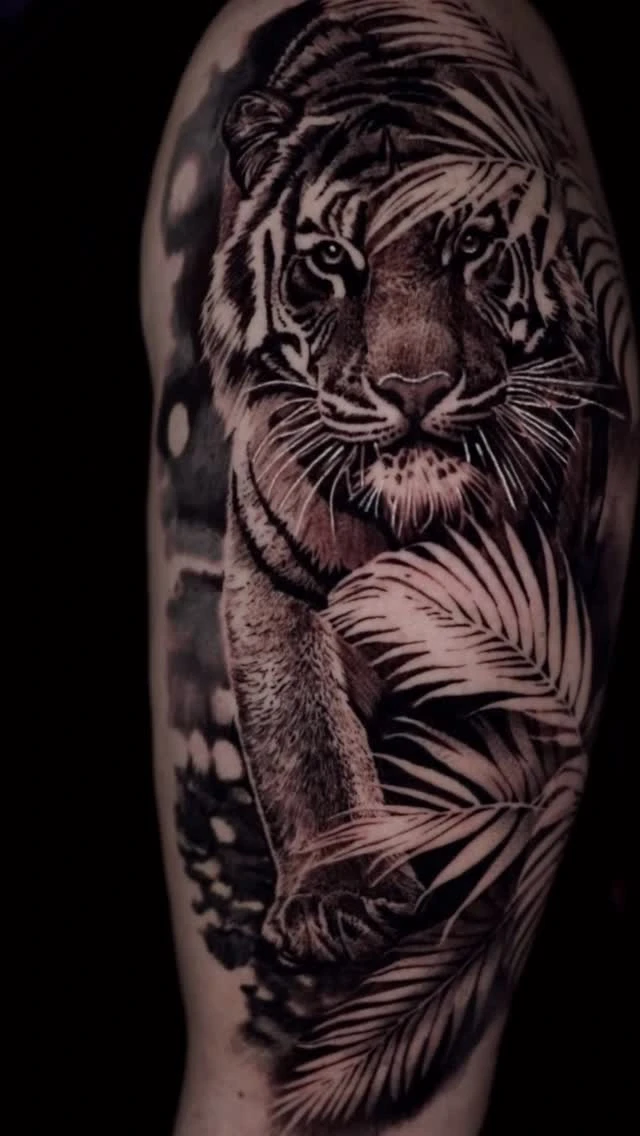 Travail de Julien Breuil