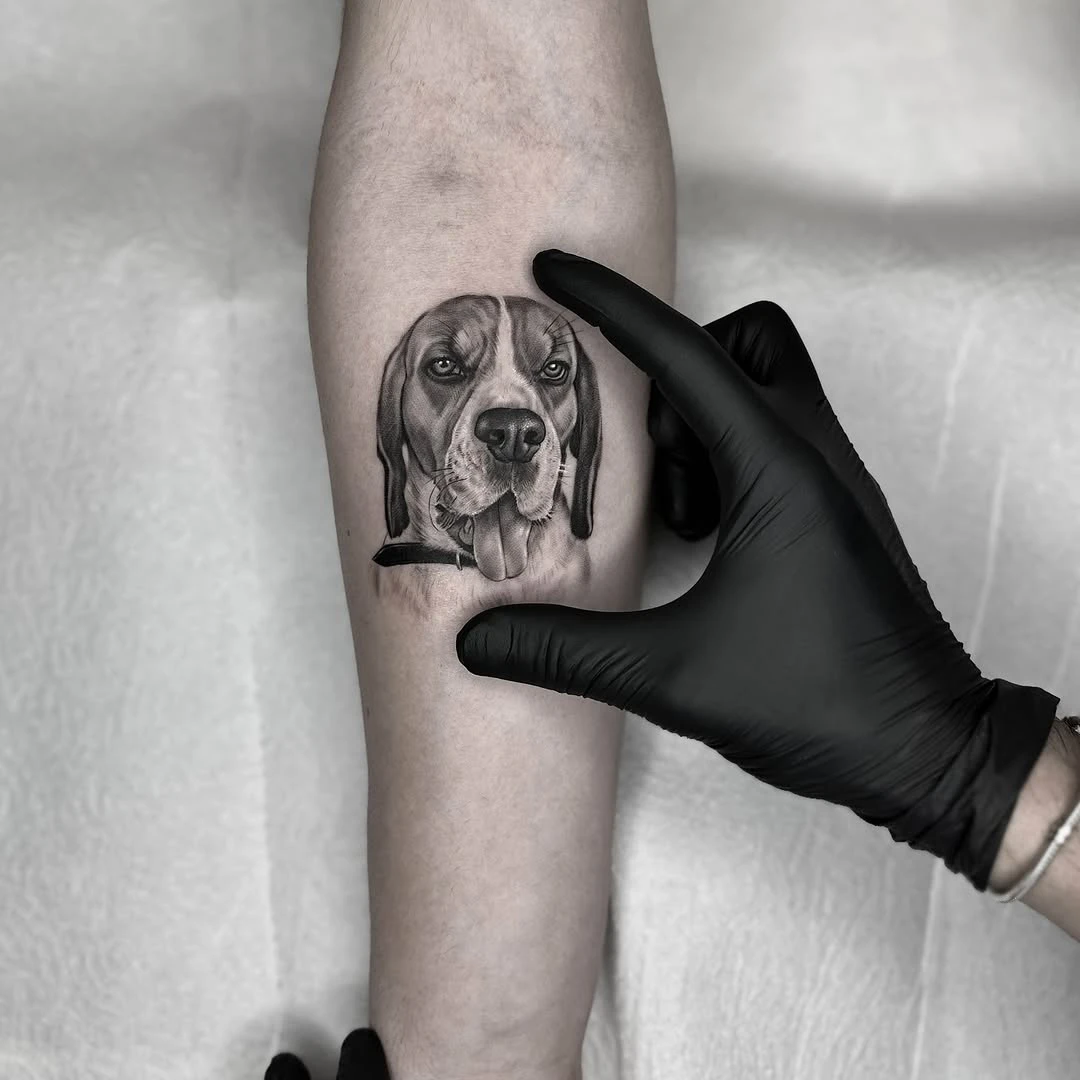 This is "Biggie" ✨ #ilyasargin #tattoo #kadikoy #dogtattoo #realismtattoo #portrait #portraittattoo #istanbul #turkey #argtattoogallery